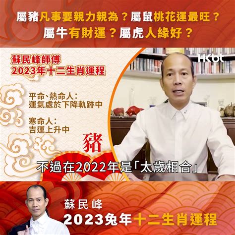 蘇民峰2023運程書pdf下載|蘇民峰2023十二生肖運程｜屬雞、狗、豬、鼠、牛、 